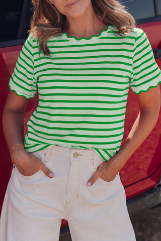 Stripe Scalloped Trim T Shirt