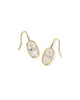 Lee Luxe Gold Drop Earrings White CZ