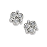 Constella Cluster Post Earrings- Silver