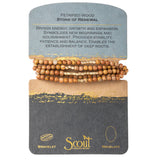 Petrified Wood - Stone of Renewal