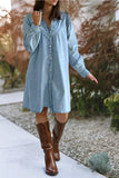 Ruffled V Neck Buttoned Shift Denim Dress