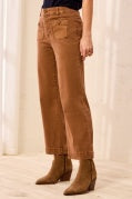 SOPHIA CURVY SUPER STRAIGHT ANKLE DENIM-Hazelwood